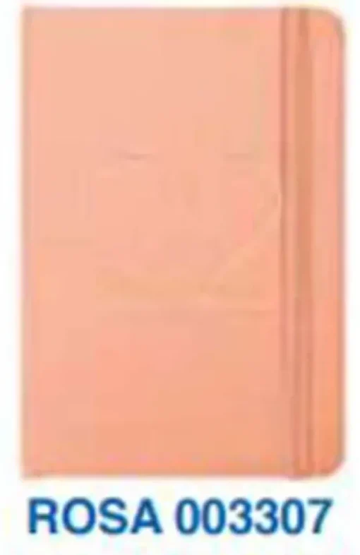 AGENDA 22 CAMPUS 93X144 SV PU ROSA