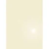 APLI PAPEL APLI A4 METALIZ.CHAMP.130G 10H 11973 MAK002247