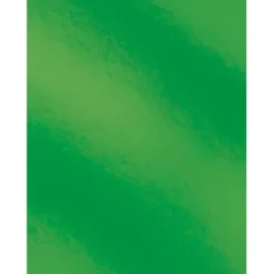 CAMPUS CARTULINA CAMPUS 50X65 METAL VERD/10U 202 VERDE MAK630402