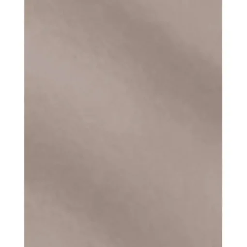 CAMPUS CARTULINA CAMPUS 50X65 METAL PLAT/10U 202 PLATA MAK630400