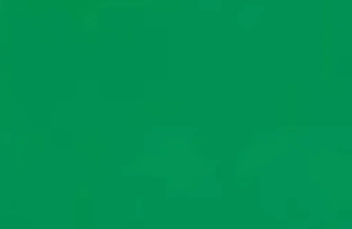 CAMPUS CARTULINA COLOR 50X65 V.CESPED 00130112 MAK655138