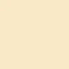 CANSON GUARRO PACK DE 25 CARTULINAS IRIS A4 DE 185G - 50X65CM - COLOR CASCARA HUEVO