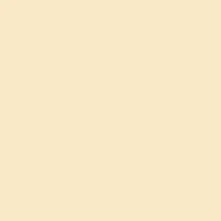 CANSON GUARRO PACK DE 25 CARTULINAS IRIS A4 DE 185G - 50X65CM - COLOR CASCARA HUEVO