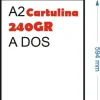 CARTULINA 240GR 10HOJAS TAMAÑO A2 594X420MM BLANCO GRUESO MATE