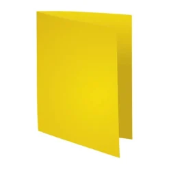 EXACLAIR SUBCARPETA EXACOMPTA A4 220G LIMO/10U 217111E MAK180900