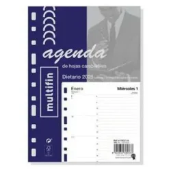 FINOCAM RECAMBIO ANUAL 2025 MULTIFIN 3002 DP