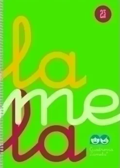 LAMELA CUADERNO TAPA PLASTICO FOLIO VERDE 80 HOJAS 2,5MM CUADROVIA POLIPROPILENO 7FTP002V