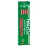 LAPICES ALPINO UNICOLOR 12 UD MARRON 649436