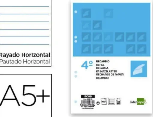 RECAMBIO LIDERPAPEL CUARTO 100 HOJAS 60G/M2 HORIZONTAL CON MARGEN 6 TALADROS