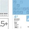 RECAMBIO LIDERPAPEL CUARTO APAISADO 100 H 2TCA-01 CUADRO 4 MM 2 TALADROS CON MARGEN