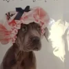 TARJETA FELICITACIÓN TAMAÑO A4 SURTIDA