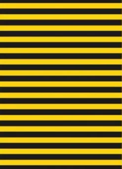 BOLSA CARNAVAL PP 65X90CM G/250 RAYAS AMARILLA NEGRA ABEJA BASURA ESPECIAL DISFRAZ 00072101