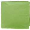 BOLSA CARNAVAL INFANTIL PP 56X70 G/250 VERDE PASTEL BASURA ESPECIAL DISFRACES