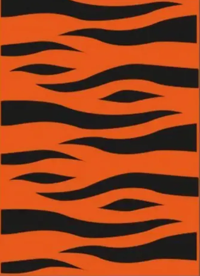 BOLSA CARNAVAL PP 65X90CM G/250 NARANJA CON RAYAS NEGRAS TIGRE BASURA ESPECIAL DISFRAZ 00072106