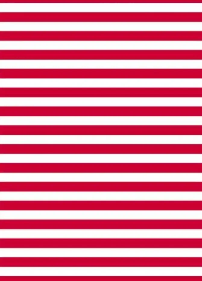 BOLSA CARNAVAL PP 65X90CM G/250 RAYAS ROJI BLANCA BASURA ESPECIAL DISFRAZ 00072104