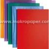 CAMPUS CARPETA FUNDA COLOR 10 M010 M010 MAK215172