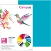 CAMPUS CARTULINA CAMPUS A3 180G AZ.TURQU/50U 630743 SKBLUE MAK630743