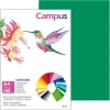 CAMPUS CARTULINA CAMPUS A4 180G VERDE PINO 0015019 MAK220155