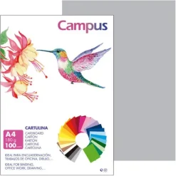 CAMPUS CARTULINA CAMPUS A4 180G GRIS CLARO 0019739 MAK220422