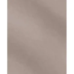 CAMPUS CARTULINA CAMPUS 50X65 METAL PLAT/10U 202 PLATA MAK630400