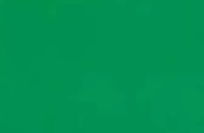 CAMPUS CARTULINA COLOR 50X65 V.CESPED 00130112 MAK655138