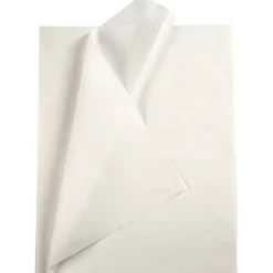 CAMPUS PAPEL SEDA BLANCO /MANO 25 HOJAS 602246 /25H 50X76CM