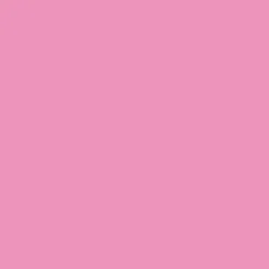 CANSON GUARRO PACK DE 25 CARTULINAS IRIS A4 DE 185G - 50X65CM - COLOR ROSA CHICLE