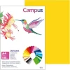 CARTULINA CAMPUS A4 180G AMARILLO GUALDA