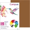 CARTULINA CAMPUS A4 180G MARRON