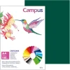 CARTULINA CAMPUS A4 180G VERDE SELVA