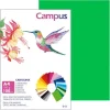 CARTULINA CAMPUS A4 180G VERDE BILLAR
