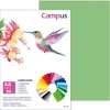 CARTULINA CAMPUS A3 180G V.MANZANA