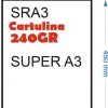 CARTULINA 240GR 100HOJAS TAMAÑO SRA3 450X320MM DOBLE FLOLIO BLANCO GRUESO MATE
