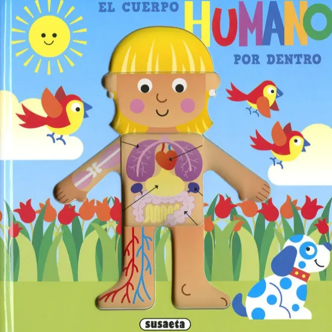 CUERPO HUMANO POR DENTRO, EL