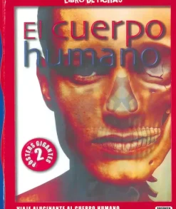 EL CUERPO HUMANO