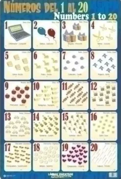 ERIK LAMINA ESCOLAR ERIK PVC 40X59,5 DIDACTICA NUMEROS DEL 1 AL 20