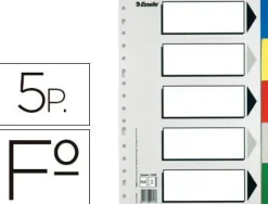 ESSELTE 613 BOLSA DE 5 SEPARADORES DE PLASTICO - 5 PESTAÑAS / 5 COLORES - MULTITALADRO - FORMATO FOLIO