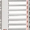 ESSELTE BOLSA DE 25 INDICES NUMERICOS DE PLASTICO - PESTAÑAS 1 AL 31 - MULTITALADRO - FORMATO A4 - COLOR GRIS