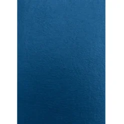 ESSELTE CUBIERTA GBC CARTON A4 750G AZUL/50U ESP426081 AZ MAK248535