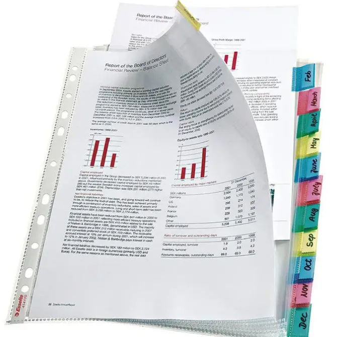 ESSELTE FUNDA MULT.LEITZ A4 PESTAÑAS 12PESTAÑ 414170 MAK209227