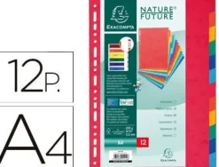 EXACLAIR SEPARADORES EXACOMPTA A4 CART. 12PEST 1412E MAK180828