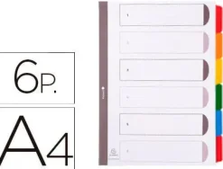 EXACLAIR SEPARADORES EXACOMPTA A4 CART.6PEST 2306E MAK180829