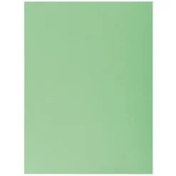 EXACLAIR SUBCARPETA EXACOMPTA A4 1SOL.VERD/50U 339004E MAK180806