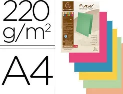 EXACOMPTA CAJA DE 100 SUBCARPETAS FOLDYNE DE 250 GRAMOS.COLORES SURTIDOS. REF.410000E CS72810