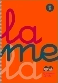 LAMELA CUADERNO TAPA PLASTICO FOLIO NARANJA 80 HOJAS 5MM CUADROVIA POLIPROPILENO 7FTP005N