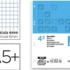 LIDERPAPEL RECAMBIO 4º CUARTO 4 Y 6 TALADROS 100 HOJAS CUADRICULA 6 MM CON MARGEN RC10 CS29677