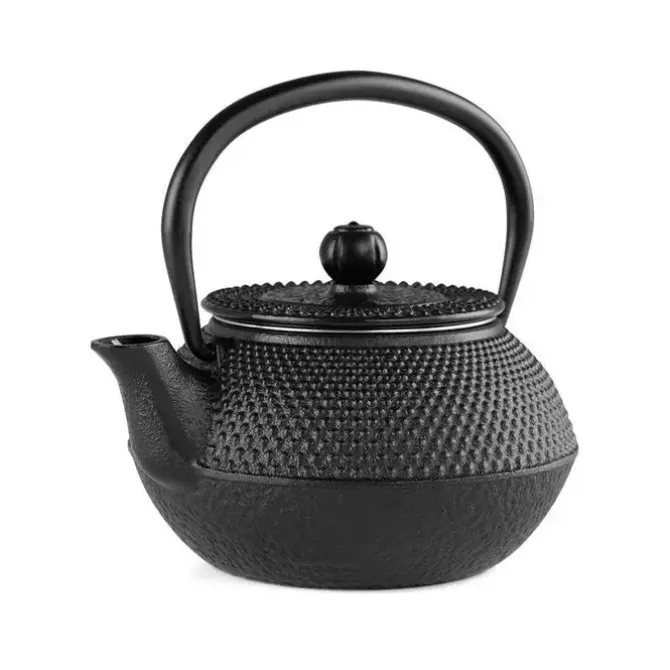 ORBEGOZO TTH TETERA TETSUBIN 300ML - DISEÑO TRADICIONAL JAPONES - INTERIOR ESMALTADO - FILTRO DE ACERO INOXIDABLE - APTA PARA TODO TIPO DE FUEGOS DISFRUTA DEL TE COMO NUNCA ANTES