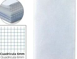 PAPEL BARBA 10 HOJAS DOBLADAS CUADRICULA 6X6 90 GRAMOS 32X45 CM TIPO GUARRO