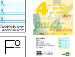 RECAMBIO LIDERPAPEL A4 PAUTAGUIA 100 HOJAS 75 G CUADRICULADO PAUTADO 4 MM CON MARGEN 4 TALADROS