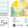 RECAMBIO LIDERPAPEL CUARTO PAUTAGUIA 100 HOJAS 75 G CUADRICULADO PAUTADO 4 MM CON MARGEN 6 TALADROS